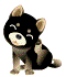 黒柴犬のイラスト